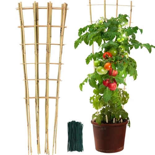 SWANGSA 6 Pack 4Ft Bamboo Trellis for Climbing Plants, Fan-Shaped Garden Ladder Trellis with 100pcs Twist Ties for Outdoor and Indoor Plant Support, Potted Plants, Cucumber, Tomato, Vine - size: 4ft