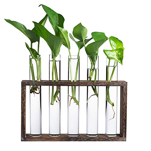 5 Tube Wooden Plant Propagation Station, Tabletop Glass Terrarium Holder for Cuttings Hydroponics, Home Office Desk Decor Gift for Women Mom Plant Lovers, Brown - color: Brown, size: 5 Test Tube