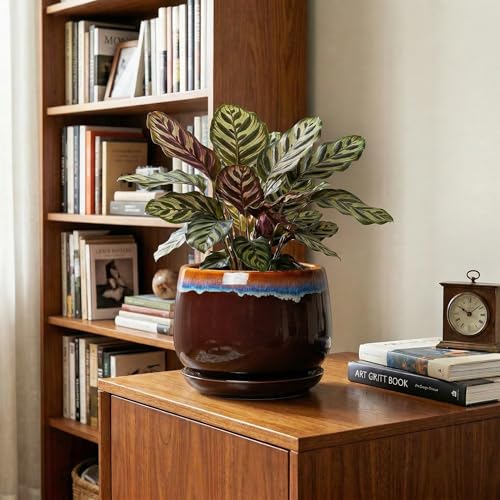 Ceramic Planter, 7 Inch Plant Pots with Drainage, Brown-Blue - size: 7 Inch, style: Brown-blue