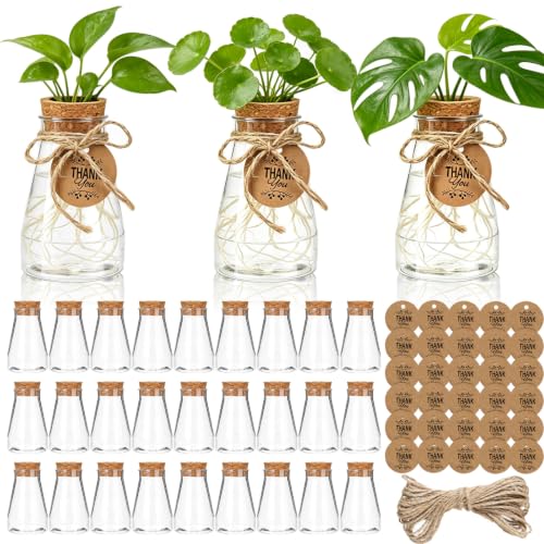 Ysglory 30 Pack Plant Propagation Stations 3.35" Plastic Vases