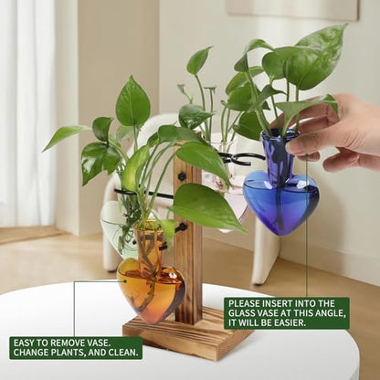 Plant Terrarium Propagation Stations with Wooden Stand - color: Color-01