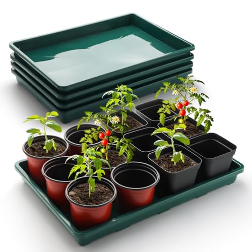 RooTrimmer 5 Pack Seed Starter Trays (17"x11"x2"), Plastic Flat Nursery Pots Trays, Durable Carrying Seedling Starter Tray, Reusable Tray for Planting and Collecting Drainage Water (Green) - color: Green, size: Holding Trays-5P