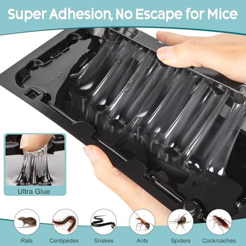 10 Pack Sticky Glue Mouse Trap Rat Trap Indoor for Home and Rats, Snake - size: 10Pack