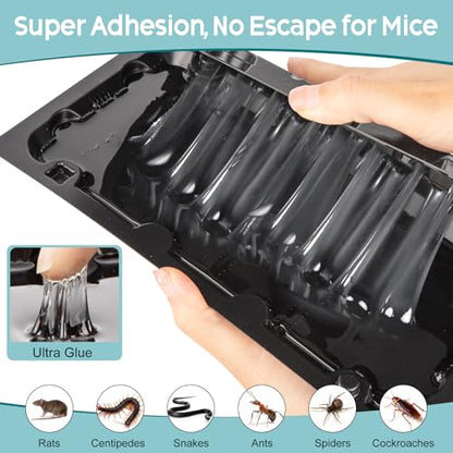 10 Pack Sticky Glue Mouse Trap Rat Trap Indoor for Home and Rats, Snake - size: 10Pack