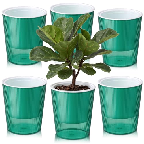 6 Pack Self Watering Pots for Indoor Plants Plastic Vertical Ribbed Semi Transparent Planters, Dual Layer Reservoir for Indoor Succulents Herbs Pothos(Green, White,4.4 x 4.9 Inch) - color: Green, White, size: 4.4 x 4.9 Inch