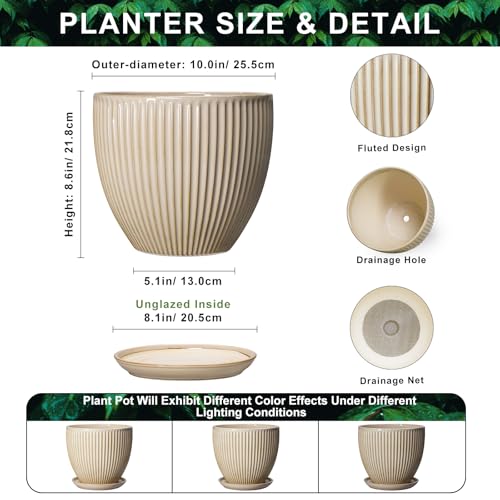Ceramic Planter, 10 Inch Plant Pot for Large Indoor Plants, Beige - color: Beige, size: 10 Inch