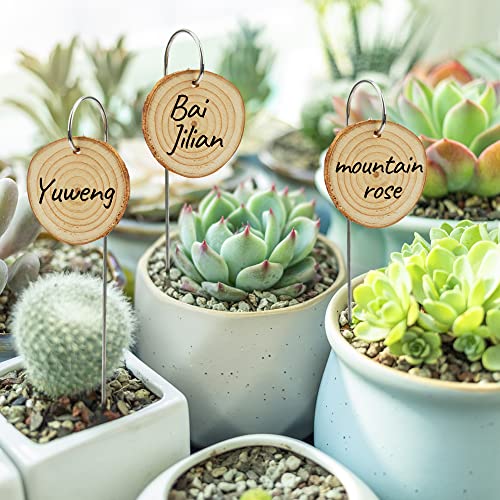 Temlum Wooden Plant Labels for Indoor & Outdoor Plants, 25pcs - color: Wood 25pcs