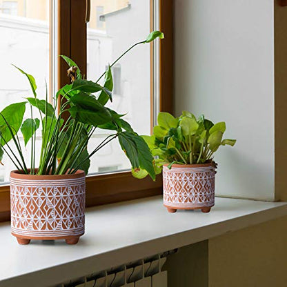 D'vine Dev 2-Pack Terracotta Pots, 4/6 in, Savanna Weave, 31-953-G-1 - style: Savanna Weave