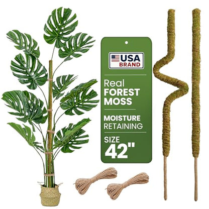 2pcs 42'' Real Forest Moss Pole Monstera Plant Support -Moisture Retaining - size: 2-Pack (42 in)