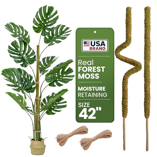 2pcs 42'' Real Forest Moss Pole Monstera Plant Support -Moisture Retaining - size: 2-Pack (42 in)