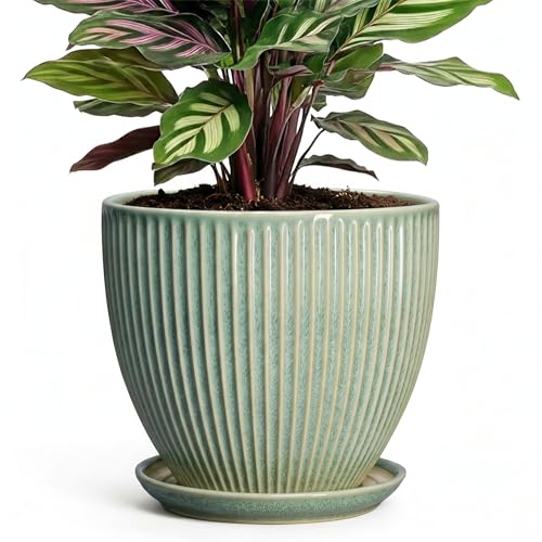 Ceramic Plant Pots, 6 Inch Ceramic Pots for Herb Snake Plants, Indoor Small Flower Pot with Drainage Hole and Saucer, Modern Round Planter, Room Office House Decor, Gardening Gifts, Green - color: Green, size: 6 Inch