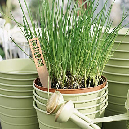 Bamboo Herb Markers - Set of 12 Beautiful Garden Labels - Sturdy Outdoor Garden or Potted Herb Markers
