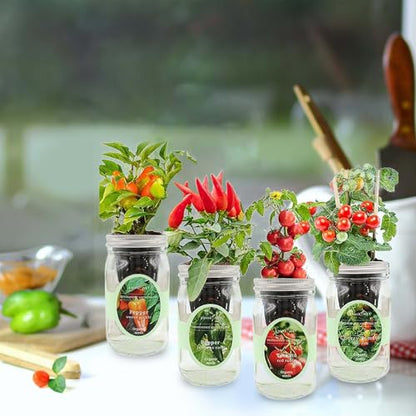 Hydroponic Herb Growing Kit Set, Self-Watering Mason Jar Herb Garden Starter Kit Indoor, Grow 4 Kinds of Herbs from Seeds (2 Tomato & 2 Pepper) - color: 2 Tomato & 2 Pepper