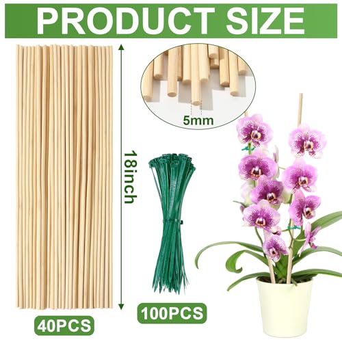 AUGSHY Plant Stakes 18 Inch, 40 PCS Natural Bamboo Garden Stakes
