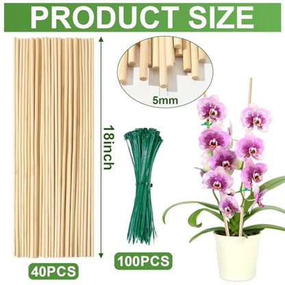 AUGSHY Plant Stakes 18 Inch, 40 PCS Natural Bamboo Garden Stakes