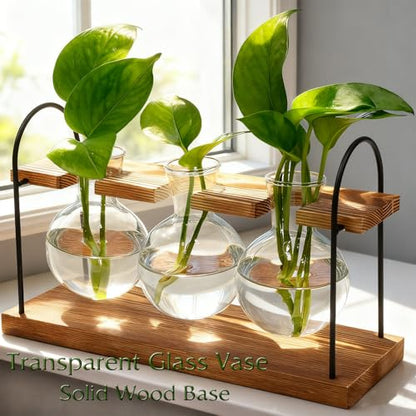 Plant Terrarium with Wooden Stand, Birthday Gift for Women Mom Plant Lover