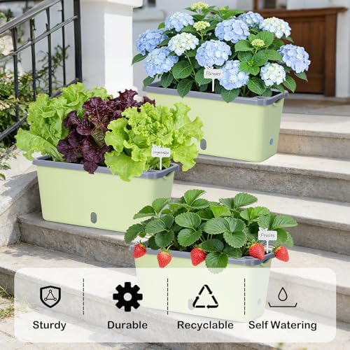 Oliz Window Box Planter 4 Packs, 14 Inches Rectangle Flower Pots with Breathable Drainage Holes, Pots for Vegetables, Herbs, Flowers, Garden Windowsill Balcony (Green & Grey) - color: Green & Grey