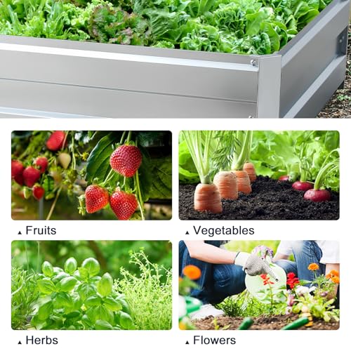 Galvanized Raised Garden Bed Kit, 5.6x3x1FT Metal Raised Garden Beds for Vegetables - size: 5.6*3*1FT