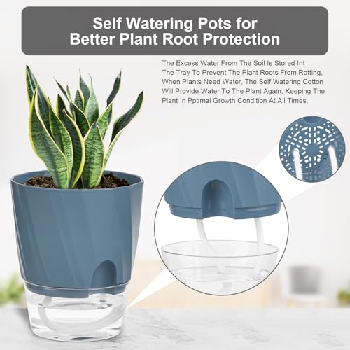 Self Watering Plant Pots 6 Inch, Indoor Planters with Wick Rope & Reservoir - color: White, Pink, Blue, size: 6 Inch Set of 6