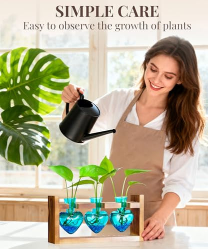 Nacome Plant Terrarium with Wooden Stand, 3 Heart Bulb Glass Vases - color: Blue