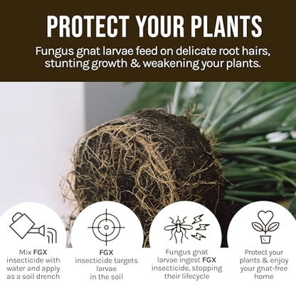 Microbe Life Hydroponics FGX Fungus Gnat Killer, Natural BTi Pest Control for Plants, Indoor Plant Pest Control to Get Rid of Gnats in Houseplants, Safe for Pets & People, 1 Gallon - size: 128 Fl Oz (Pack of 1)