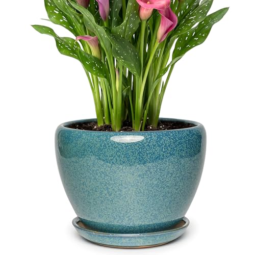 9.5 Inch Ceramic Plant Pot with Drainage Hole Mesh Net,Modern Gardening Pots for Indoor Plants with Saucer, Crackle Blue - color: Crackle Blue, size: 9.5 Inch