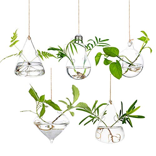 Glasseam Hanging Plant Propagation Station: 5Pcs Small Glass Terrarium Jars