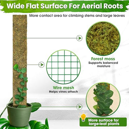 DUSPRO 59" Flat Mesh Moss Pole for Big Climbing Plants, (1pc., 59'') - size: 59" FLAT MOSS POLE