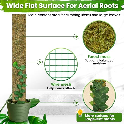 DUSPRO 59" Flat Mesh Moss Pole for Big Climbing Plants, (1pc., 59'') - size: 59" FLAT MOSS POLE