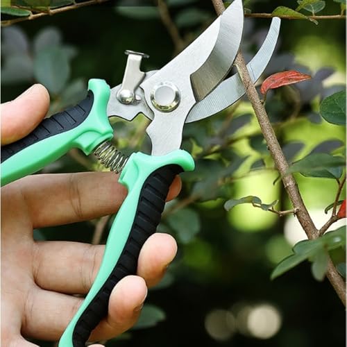 Pruning Shears for Gardening Stainless Steel Garden Hand Shears Heavy Duty Professional Bypass Pruner Hand Shears Green - color: Green