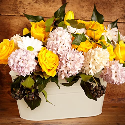 Tessco 4 Pcs 5.3"x10.8" Metal Iron Hanging Flower Pots and 4 Pcs 3.9" Balcony Bucket Planter for Railing Fence White Window Plant Holder Indoor Outdoor Garden Home Decoration with Detachable Hooks