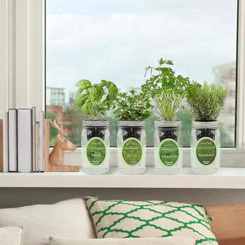 Hydroponic Herb Growing Kit Set, Self-Watering Mason Jar Herb Garden Starter Kit Indoor, Grow 4 Kinds of Herbs from Seeds (Basil, Mint, Cilantro & Rosemary)