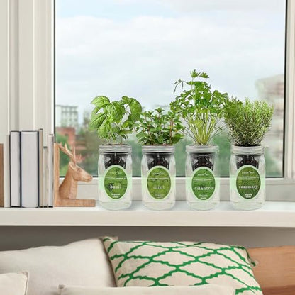 Hydroponic Herb Growing Kit Set, Self-Watering Mason Jar Herb Garden Starter Kit Indoor, Grow 4 Kinds of Herbs from Seeds (Basil, Mint, Cilantro & Rosemary)
