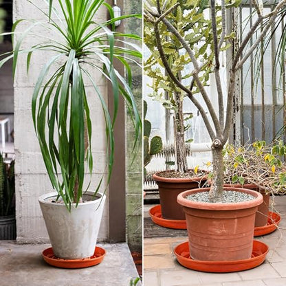 15 Pack Plant Trays for Pots 1.5" Deep Plant Saucers, Heavy Duty 8" 10" 12 inch Plant Tray Bulk Thickened Plant Plates to Catch Water, Durable Plant Saucer Flower Pot Accessories - color: Brick Red