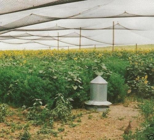 Poultry Netting 1" or 2" Mesh Heavy Knotted Nets Aviary Gamefowl Quail Chicken Bird Block Net Long Lasting Break/Burst 85/245 lb Polyethylene 8-10 Year Lifespan (25' X 25', 1) - size: 25' X 25'
