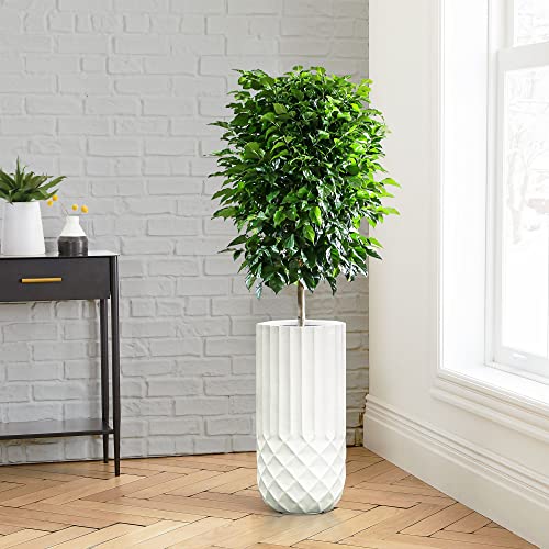 LuxenHome Planter for Outdoor Indoor Plants 25" H White Tall MgO Plant Pots - color: White 25"