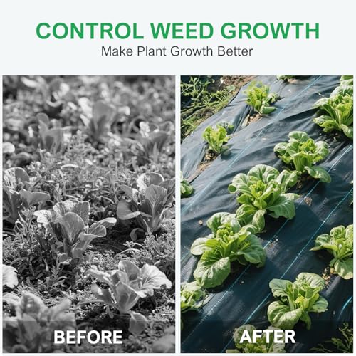 6ftx300ft Weed Barrier Landscape Fabric, 3.2oz Heavy Duty - size: 6ft x 300ft