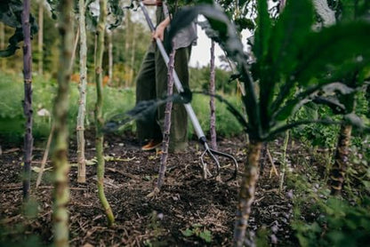 Fiskars Xact Cultivator 3 prongs 150 mm, for Optimal Cultivation of the Soil, Length: 172 cm, Width: 14.8 cm, Black/Orange, Stainless Steel/Plastic/Aluminium, 1027040 - style: Manifold