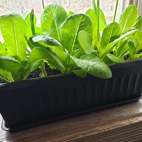 JOIKIT 17 Inches Black Plastic Planter Box, 6 Packs, Good Drainage, Indoor Outdoor Usage, for Garden, Windowsill, Patio, Balcony - color: Black