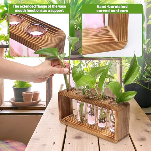 Glass Plant Propagation Station with 5 Test Tubes Colorful Planter Vase - color: Pink