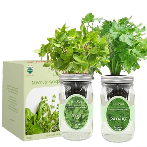 2-Pack Hydroponic Mason Jar Herb Garden Kit, Indoor Herb Garden Self-Watering Starter Kit (Thai Basil,Parsley)