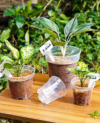 homenote 4 Inch Clear Nursery Pots with Drainage Holes for Plants (30 Pcs) - color: Transparency-no Lid, size: 4 Inch-30 Pack