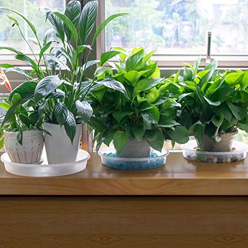 MUDEELA 6-Pack Plastic Plant Saucers Tray for Indoor, 14 Inches, Clear - size: 14" - 6 Pack