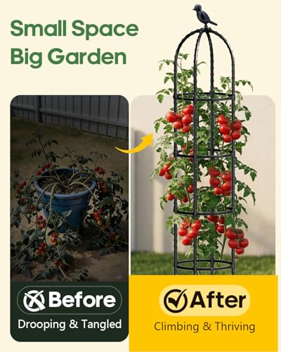 2 Pack 6.2ft High Adjustable Garden Trellis for Climbing Plants, Black