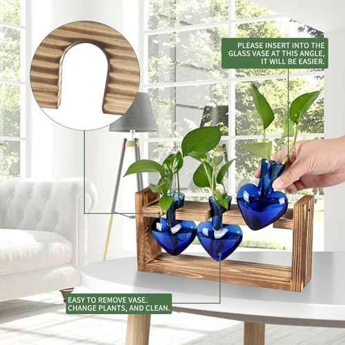 Plant Terrarium Propagation Stations Hydroponics - color: Blue