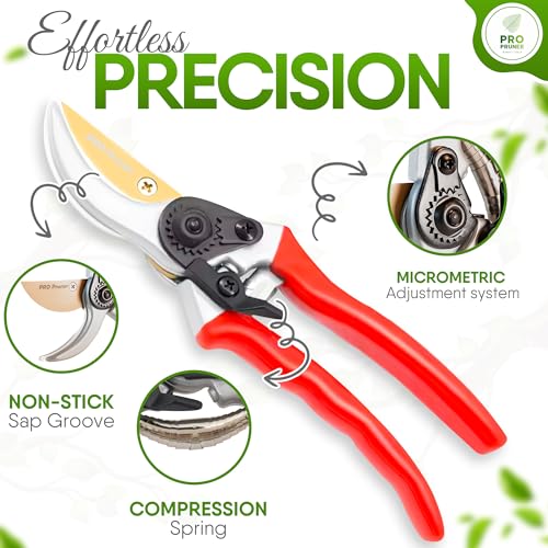 Premium Garden Shears - Heavy Duty Bypass Pruners for Trees Up to 1"Cut Capacity Garden Clippers, Gardening Scissors with Sharp (2 Pack) - style: 2 Pack