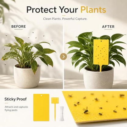 Qualirey 200 Pcs 6 x 8 in Yellow Sticky Traps for Gnats Plant Insect Trap - color: Yellow
