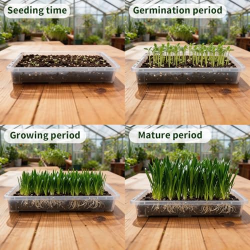 RooTrimmer 1020 Nursery Pot Trays 5 Pack, Transparent Plastic Flat Seed Starter Tray, Durable Square Seedling Starting Tray for Holding and Carrying Plant Pots (Clear) - color: Clear, size: TP1020-5P