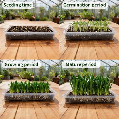 RooTrimmer 1020 Nursery Pot Trays 5 Pack, Transparent Plastic Flat Seed Starter Tray, Durable Square Seedling Starting Tray for Holding and Carrying Plant Pots (Clear) - color: Clear, size: TP1020-5P