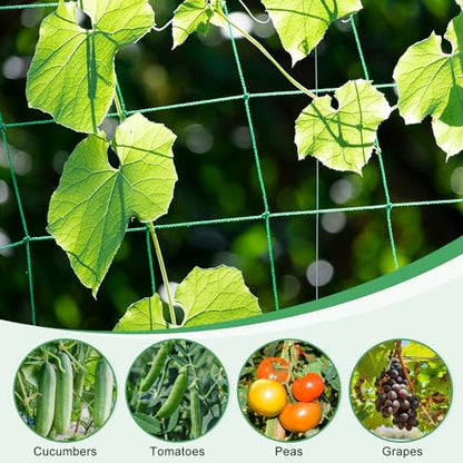 HARFINGTON Trellis Netting for Climbing Plants 3x6ft 18 Strands - color: Green, size: 3ft x 6ft, 18 Strands